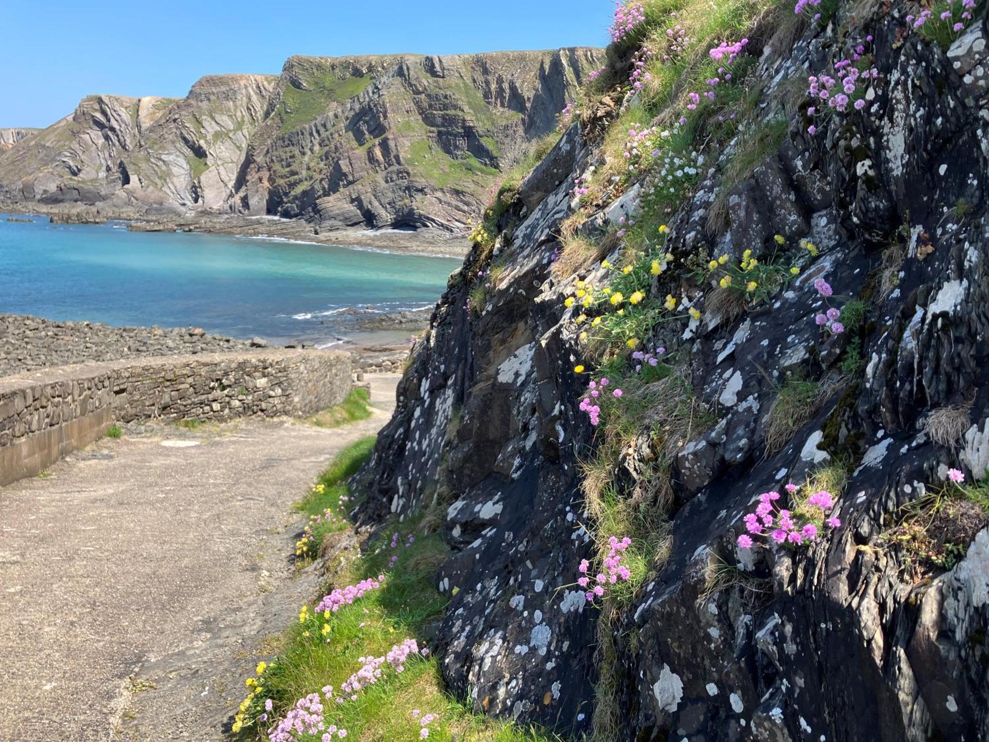 Hartland Quay Hotel Buitenkant foto