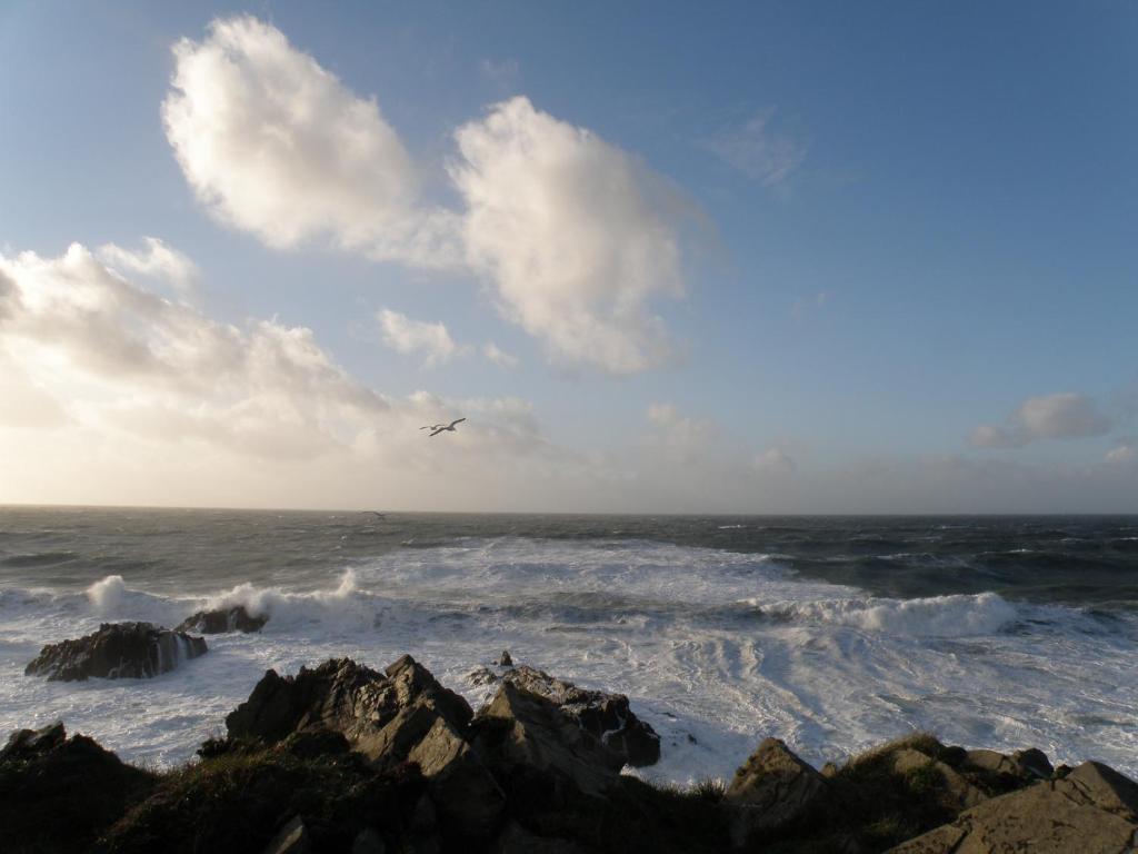 Hartland Quay Hotel Kamer foto