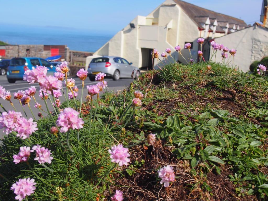 Hartland Quay Hotel Kamer foto